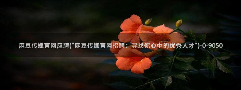 麻豆视频文章内容
