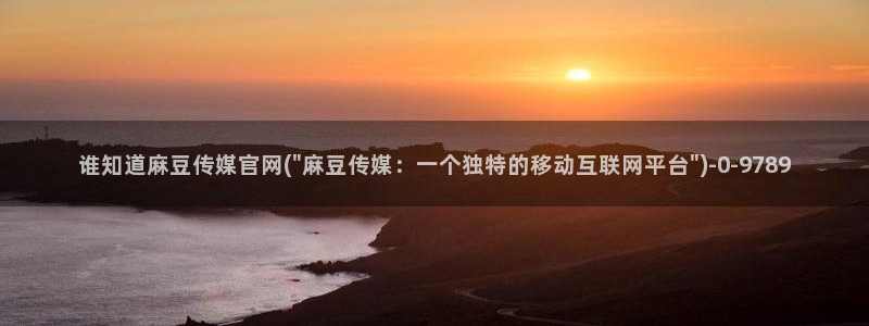 麻豆视频关于我们
