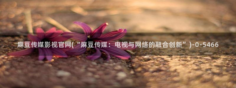 麻豆视频投稿交流