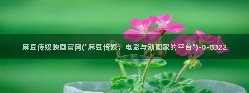 麻豆专题整理
