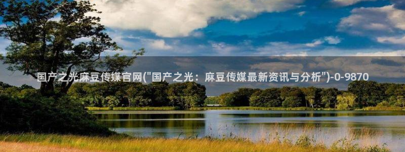 麻豆视频网