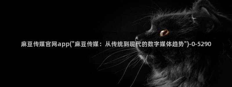 麻豆视频可读内容：麻豆传媒官网app(\