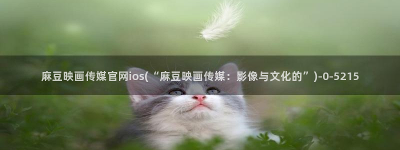 麻豆SEO关键词