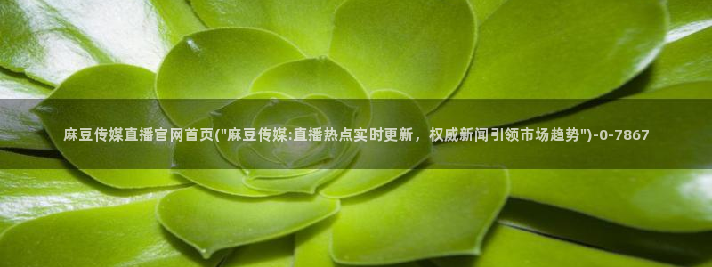 麻豆精选标题