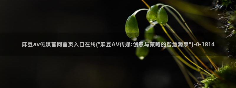 麻豆榜单页