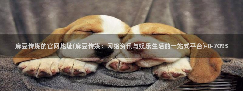 麻豆影视资讯