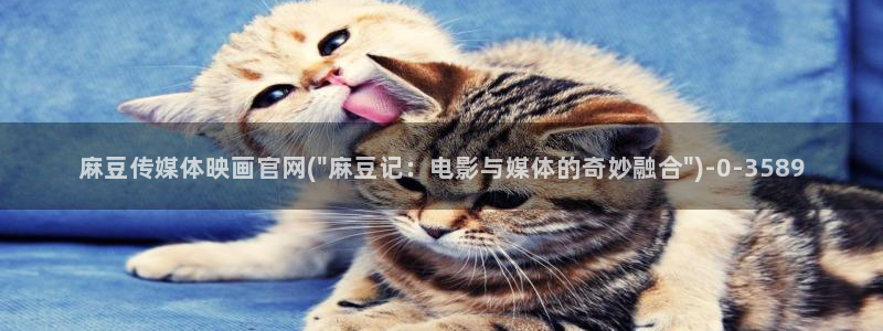 麻豆传媒