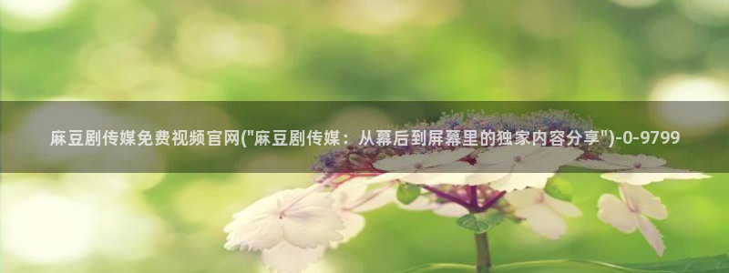 麻豆传媒