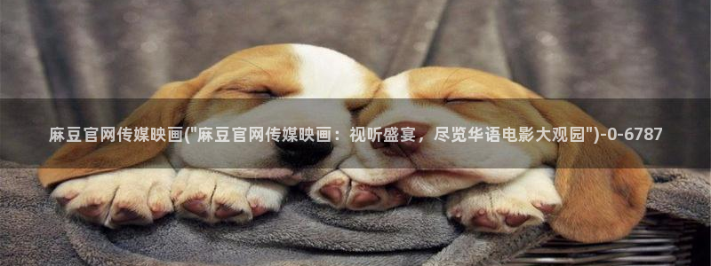 麻豆视频模板标签