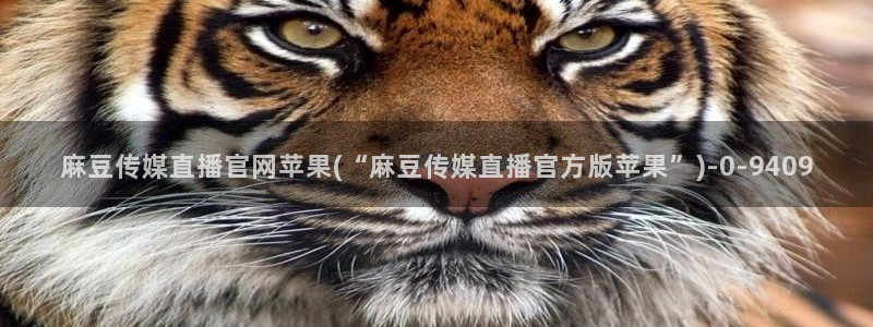 麻豆视频内容质量