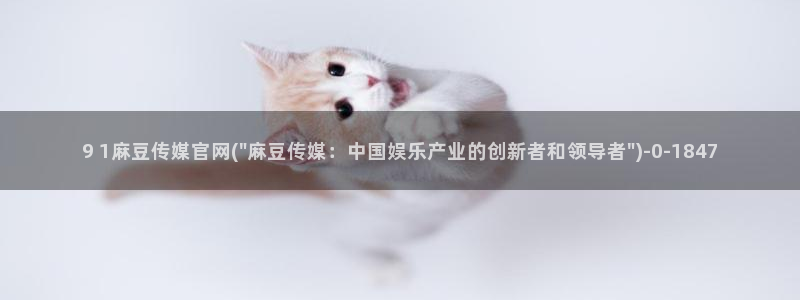 麻豆视频长尾词