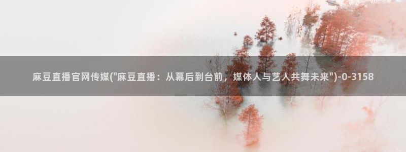 麻豆视频标签规划