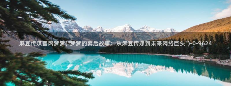 麻豆视频文章描述