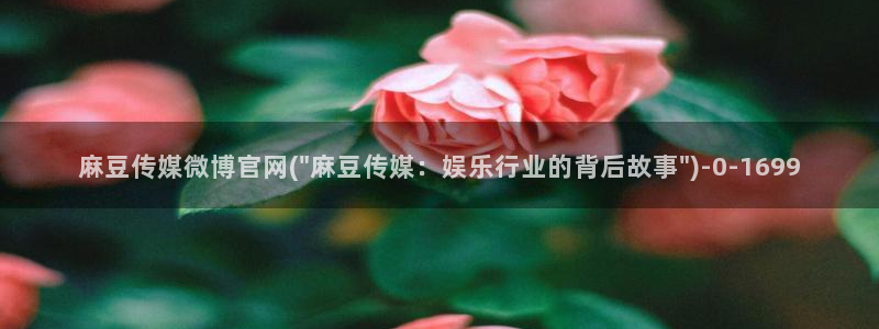 麻豆影视