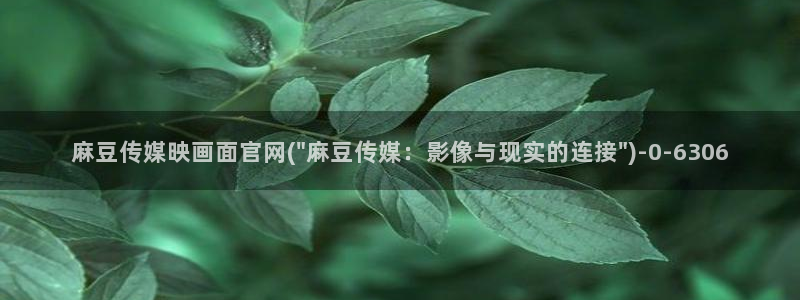 麻豆影视资讯