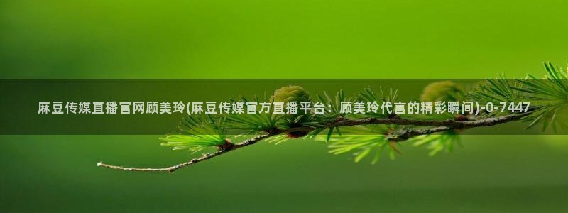 麻豆剧情短片