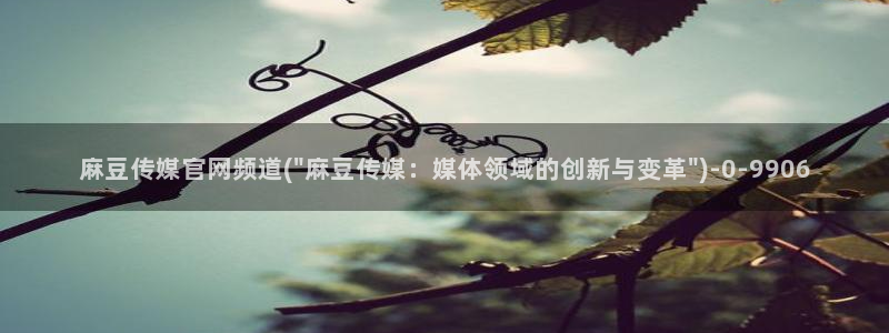 麻豆视频截图