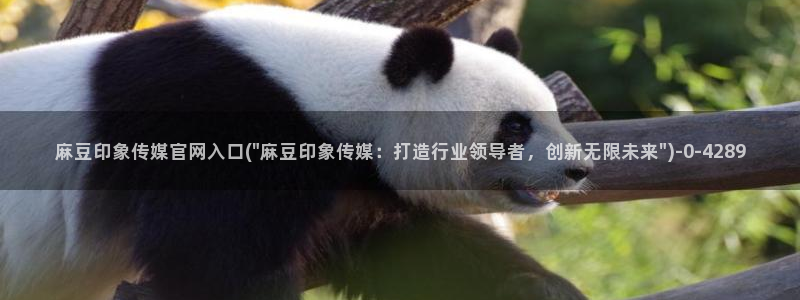麻豆短片
